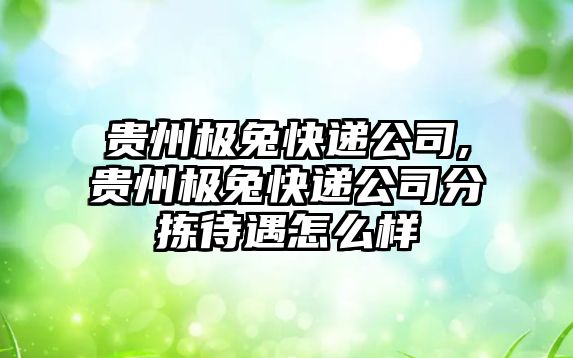 貴州極兔快遞公司,貴州極兔快遞公司分揀待遇怎么樣