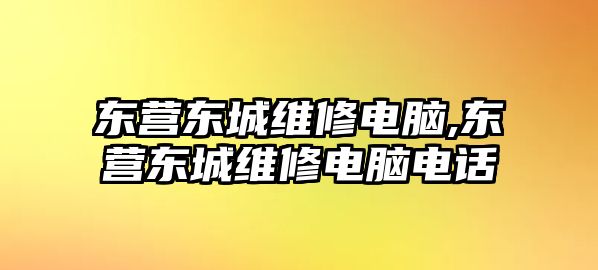 東營東城維修電腦,東營東城維修電腦電話