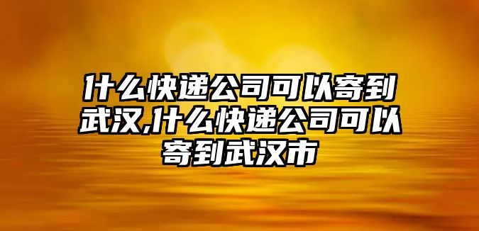 什么快遞公司可以寄到武漢,什么快遞公司可以寄到武漢市