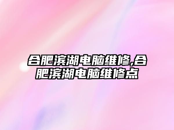 合肥濱湖電腦維修,合肥濱湖電腦維修點