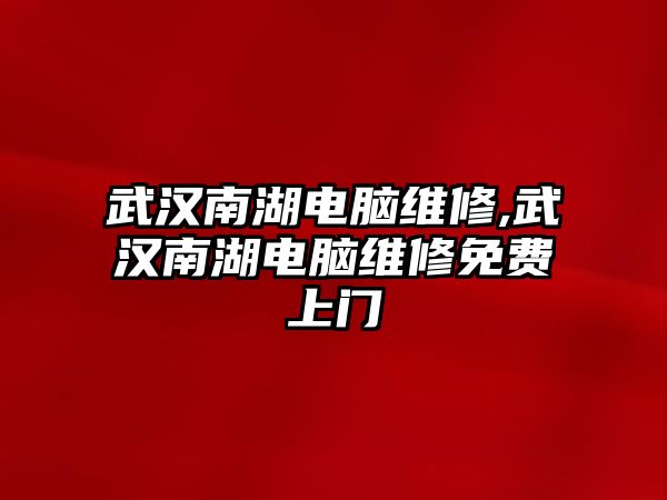 武漢南湖電腦維修,武漢南湖電腦維修免費上門