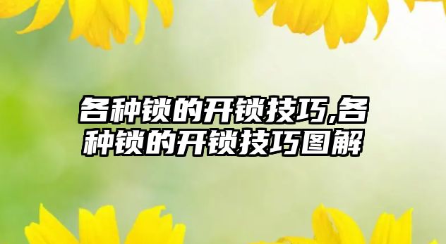 各種鎖的開鎖技巧,各種鎖的開鎖技巧圖解