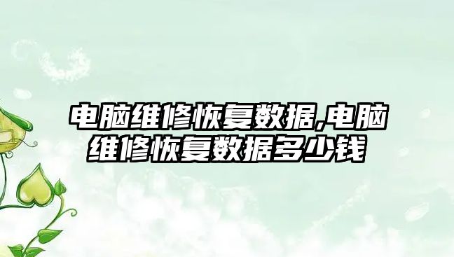 電腦維修恢復數據,電腦維修恢復數據多少錢