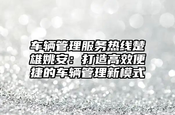 車輛管理服務熱線楚雄姚安：打造高效便捷的車輛管理新模式