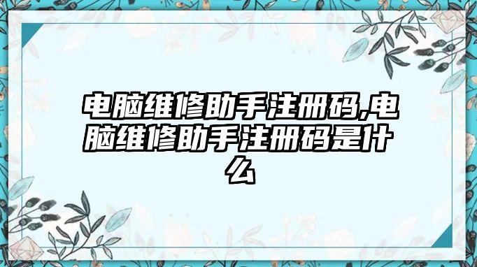 電腦維修助手注冊碼,電腦維修助手注冊碼是什么