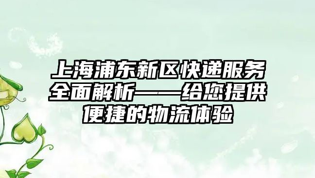 上海浦東新區快遞服務全面解析——給您提供便捷的物流體驗