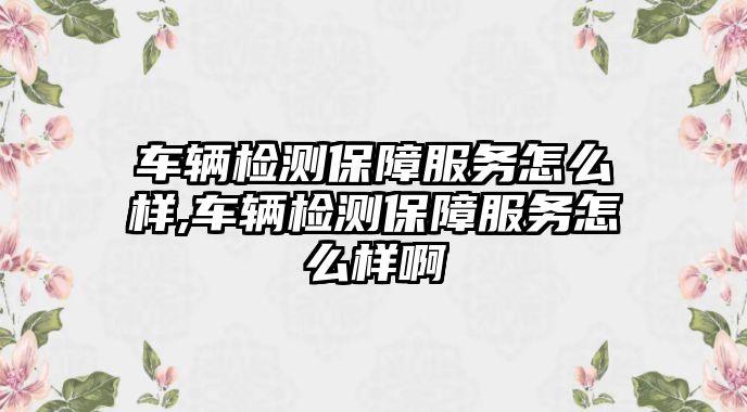 車輛檢測保障服務怎么樣,車輛檢測保障服務怎么樣啊