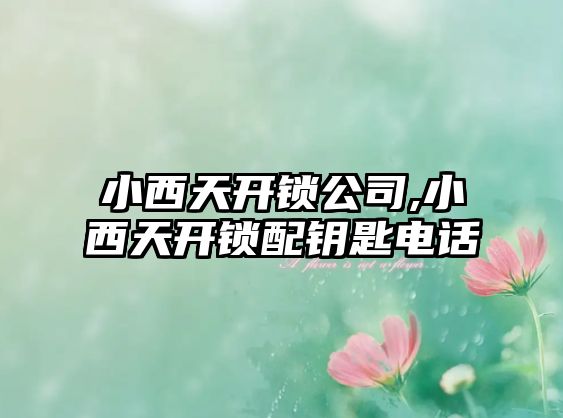 小西天開鎖公司,小西天開鎖配鑰匙電話