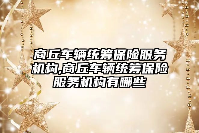 商丘車輛統籌保險服務機構,商丘車輛統籌保險服務機構有哪些