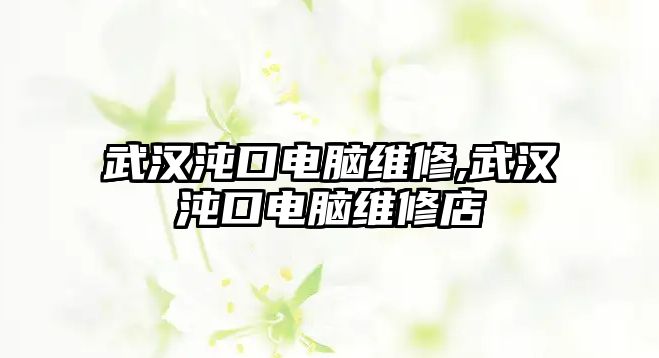 武漢沌口電腦維修,武漢沌口電腦維修店