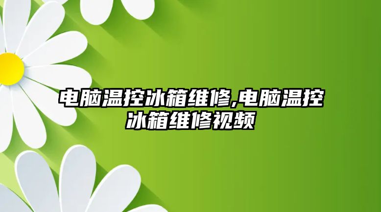 電腦溫控冰箱維修,電腦溫控冰箱維修視頻