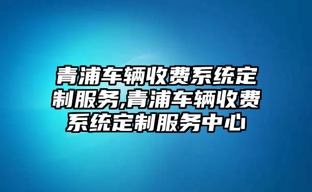 青浦車輛收費系統定制服務,青浦車輛收費系統定制服務中心