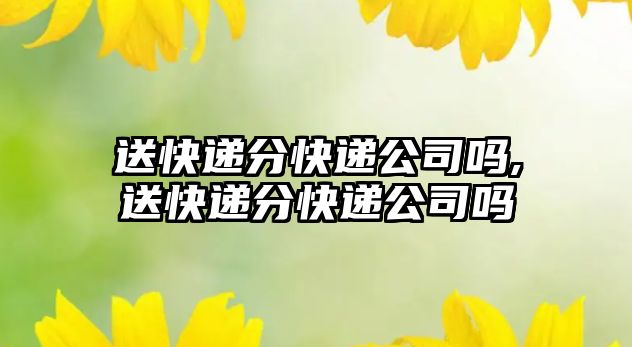 送快遞分快遞公司嗎,送快遞分快遞公司嗎