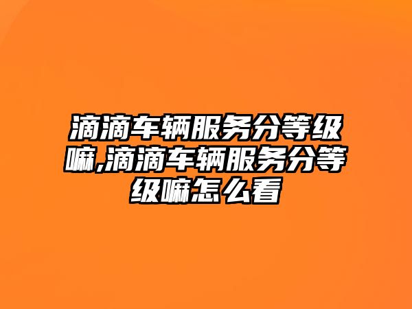 滴滴車輛服務分等級嘛,滴滴車輛服務分等級嘛怎么看