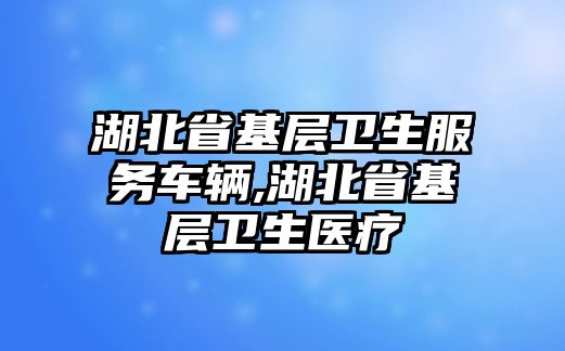 湖北省基層衛(wèi)生服務(wù)車輛,湖北省基層衛(wèi)生醫(yī)療