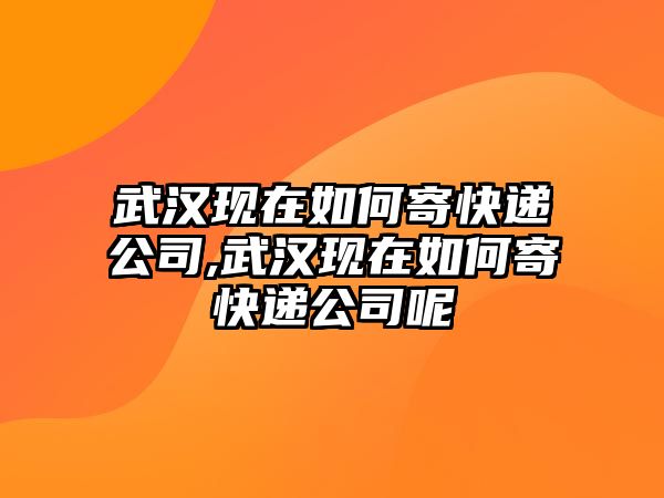 武漢現在如何寄快遞公司,武漢現在如何寄快遞公司呢