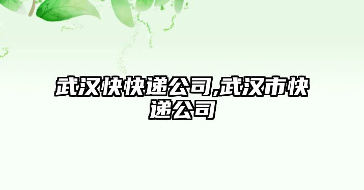 武漢快快遞公司,武漢市快遞公司