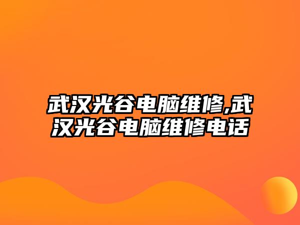 武漢光谷電腦維修,武漢光谷電腦維修電話