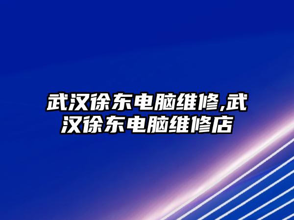 武漢徐東電腦維修,武漢徐東電腦維修店