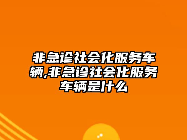 非急診社會(huì)化服務(wù)車輛,非急診社會(huì)化服務(wù)車輛是什么