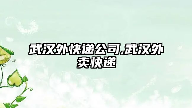 武漢外快遞公司,武漢外賣快遞