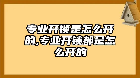 專業(yè)開鎖是怎么開的,專業(yè)開鎖都是怎么開的