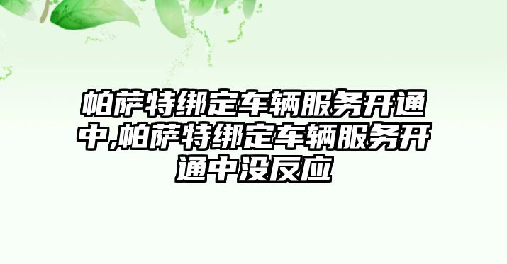 帕薩特綁定車輛服務開通中,帕薩特綁定車輛服務開通中沒反應