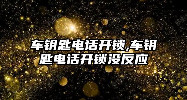 車鑰匙電話開鎖,車鑰匙電話開鎖沒反應