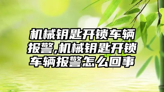 機械鑰匙開鎖車輛報警,機械鑰匙開鎖車輛報警怎么回事