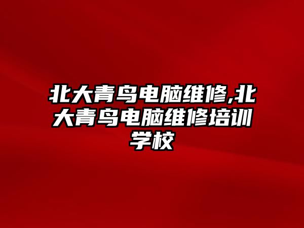 北大青鳥電腦維修,北大青鳥電腦維修培訓(xùn)學(xué)校