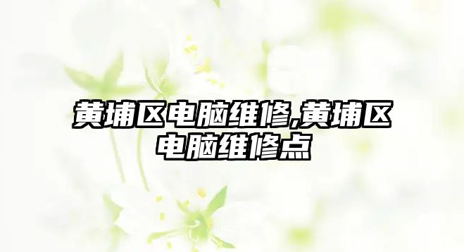 黃埔區(qū)電腦維修,黃埔區(qū)電腦維修點