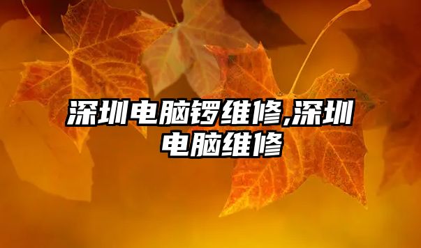 深圳電腦鑼維修,深圳 電腦維修