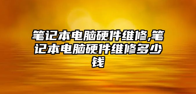 筆記本電腦硬件維修,筆記本電腦硬件維修多少錢