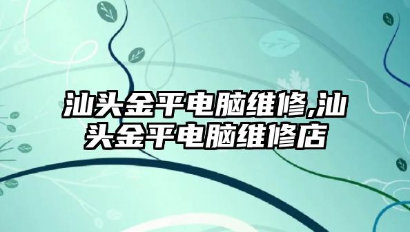 汕頭金平電腦維修,汕頭金平電腦維修店