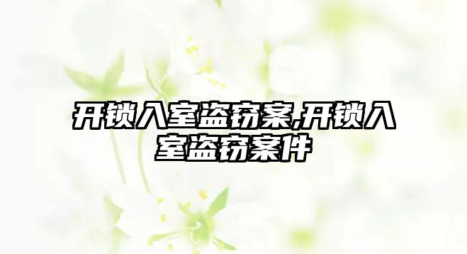 開鎖入室盜竊案,開鎖入室盜竊案件