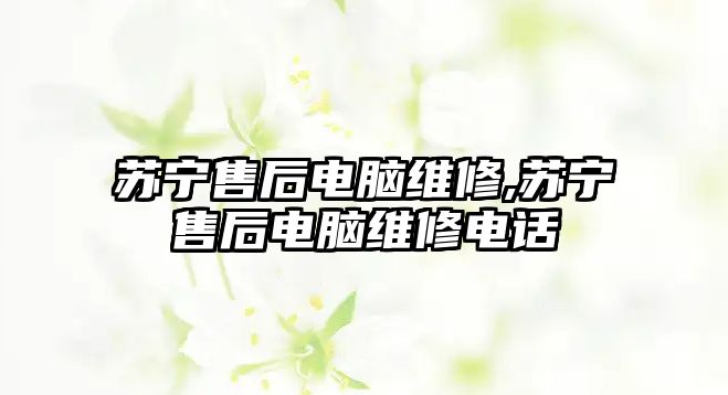 蘇寧售后電腦維修,蘇寧售后電腦維修電話