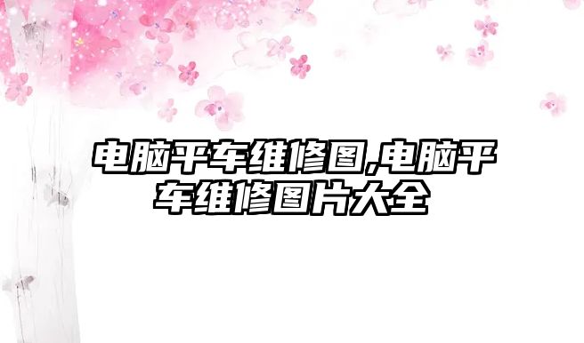 電腦平車維修圖,電腦平車維修圖片大全