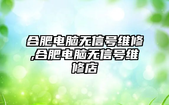 合肥電腦無信號維修,合肥電腦無信號維修店