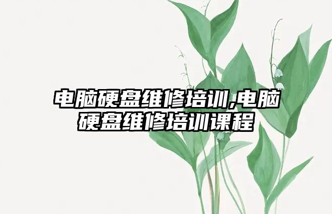 電腦硬盤維修培訓,電腦硬盤維修培訓課程