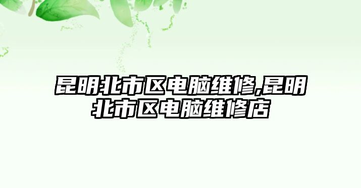 昆明北市區電腦維修,昆明北市區電腦維修店