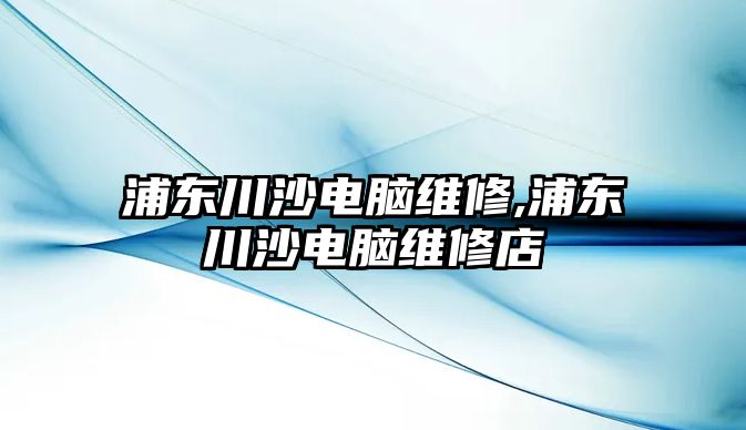 浦東川沙電腦維修,浦東川沙電腦維修店