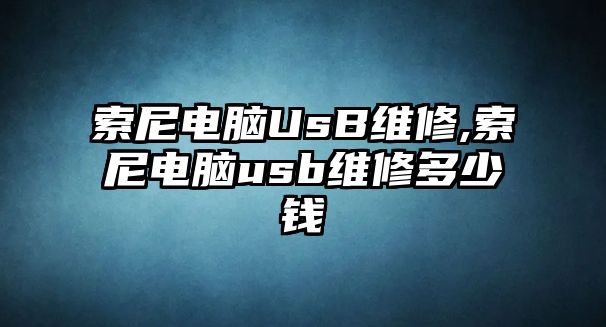 索尼電腦UsB維修,索尼電腦usb維修多少錢