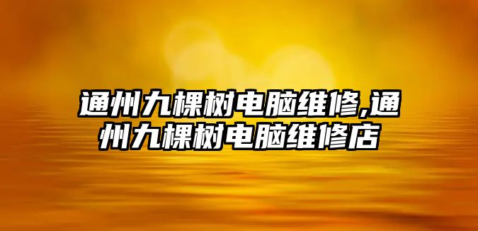 通州九棵樹電腦維修,通州九棵樹電腦維修店