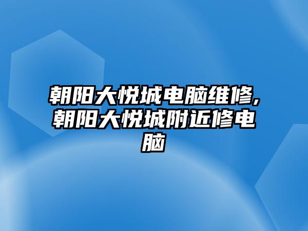 朝陽大悅城電腦維修,朝陽大悅城附近修電腦