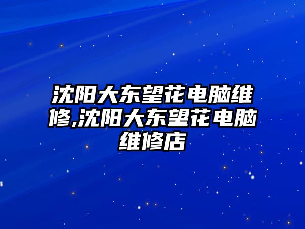 沈陽大東望花電腦維修,沈陽大東望花電腦維修店