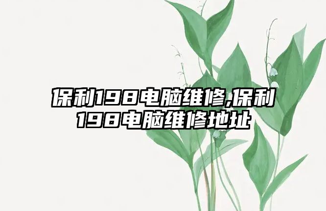 保利198電腦維修,保利198電腦維修地址