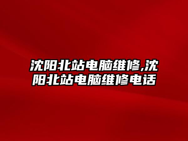 沈陽北站電腦維修,沈陽北站電腦維修電話