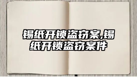 錫紙開鎖盜竊案,錫紙開鎖盜竊案件