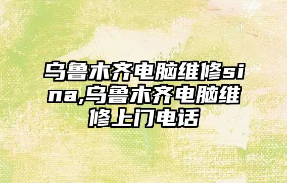 烏魯木齊電腦維修sina,烏魯木齊電腦維修上門電話