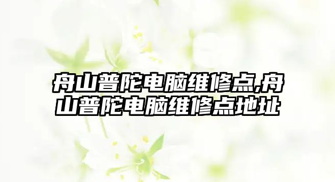 舟山普陀電腦維修點,舟山普陀電腦維修點地址